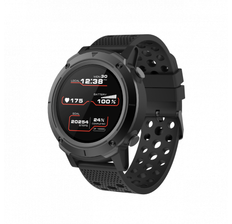 Canyon Wasabi SW-82 CNS-SW82BB черный Смарт-часы  CANYON - krestsy-experts.ru – фото 1