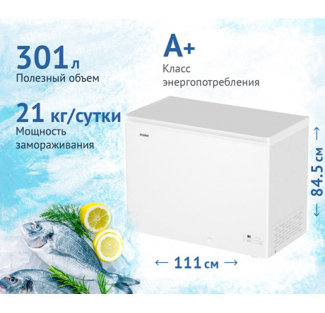 Haier HCE301R белый Морозильный ларь  HAIER - krestsy-experts.ru – фото 1