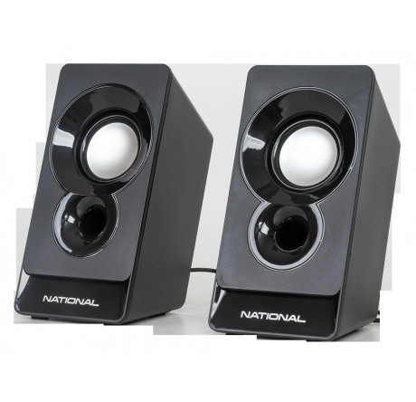 National NAS-0210 Акустическая система NATIONAL - krestsy-experts.ru – фото 1